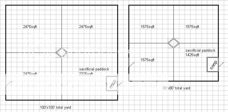 4x4chickyard2.jpg