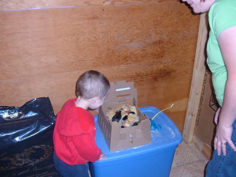 ChickenCoop002.jpg