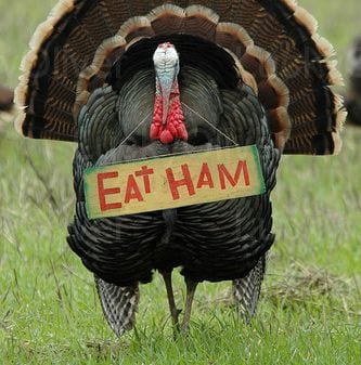 eat-ham-turkey.jpg