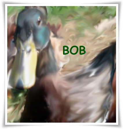 DUCKGIRL.jpg