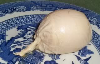 file-130.jpg