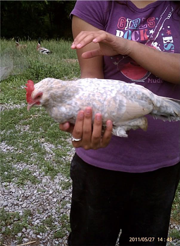 IMAG0473.jpg