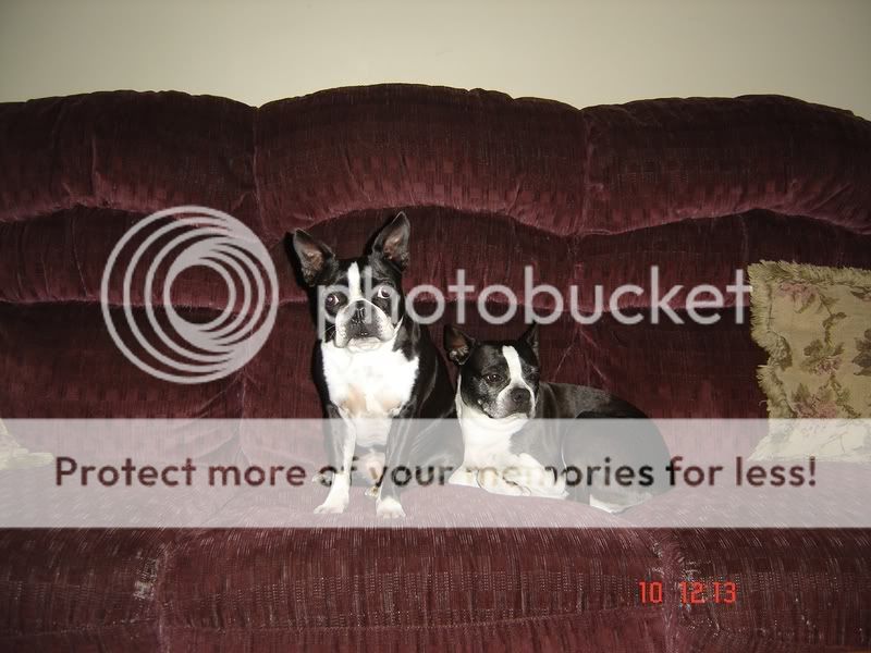 DSC00130.jpg