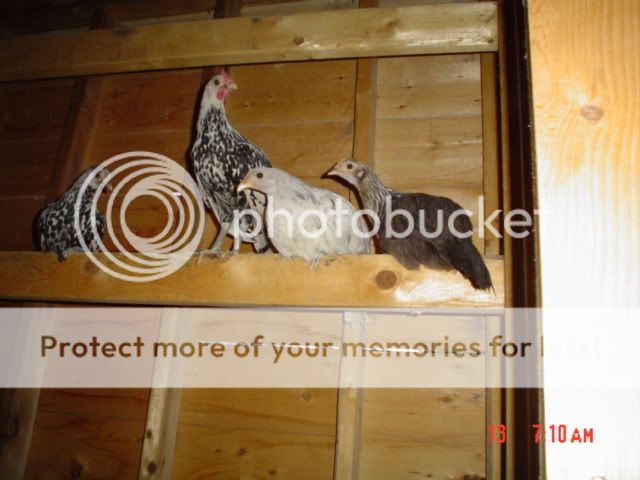DSC05785.jpg
