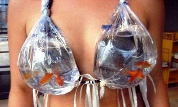 fish-bra.jpg
