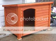 DuckHouse1b.jpg