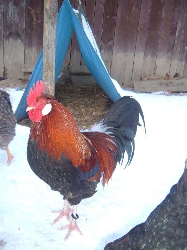 DSCF5922.jpg
