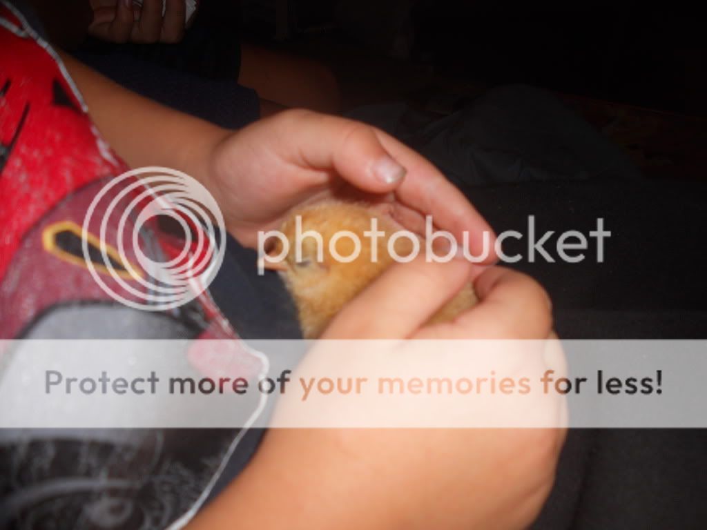DSCN0544.jpg