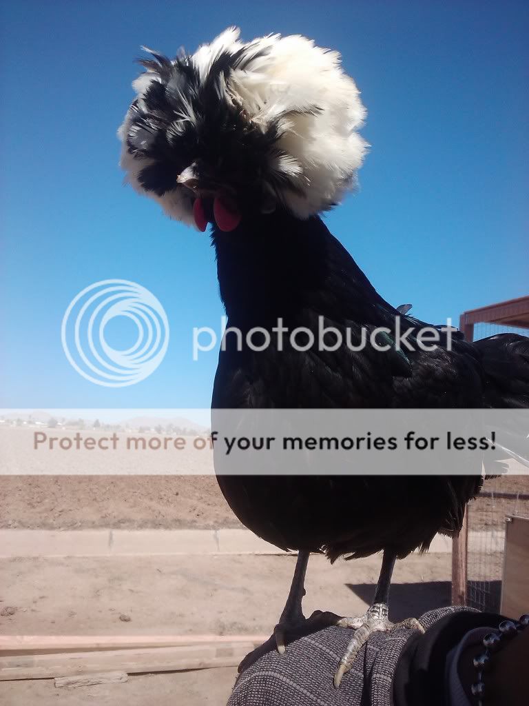 2011-03-04124809.jpg