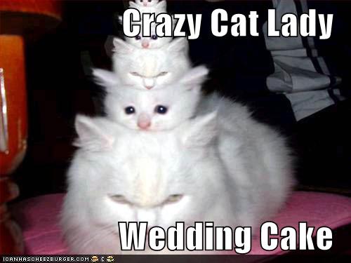 crazycatlady128573310310454936.jpg