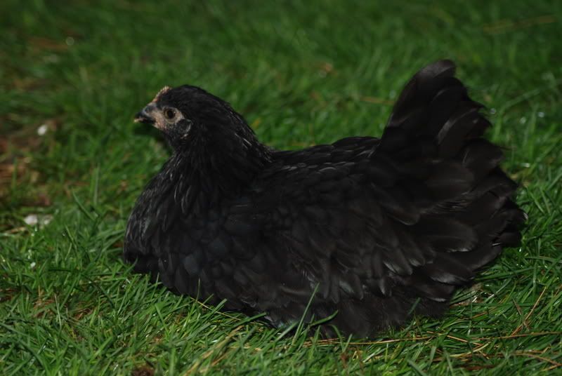 DSC_0405.jpg