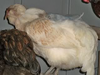 file-56.jpg