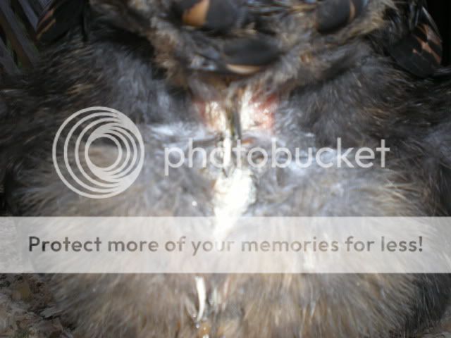 DSCN2425.jpg
