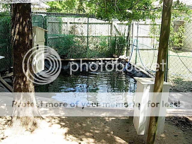 DSCN3407-1.jpg