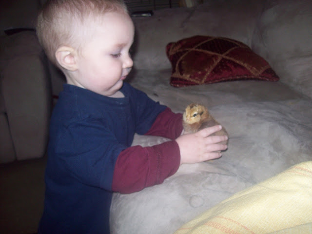 100_2310.JPG