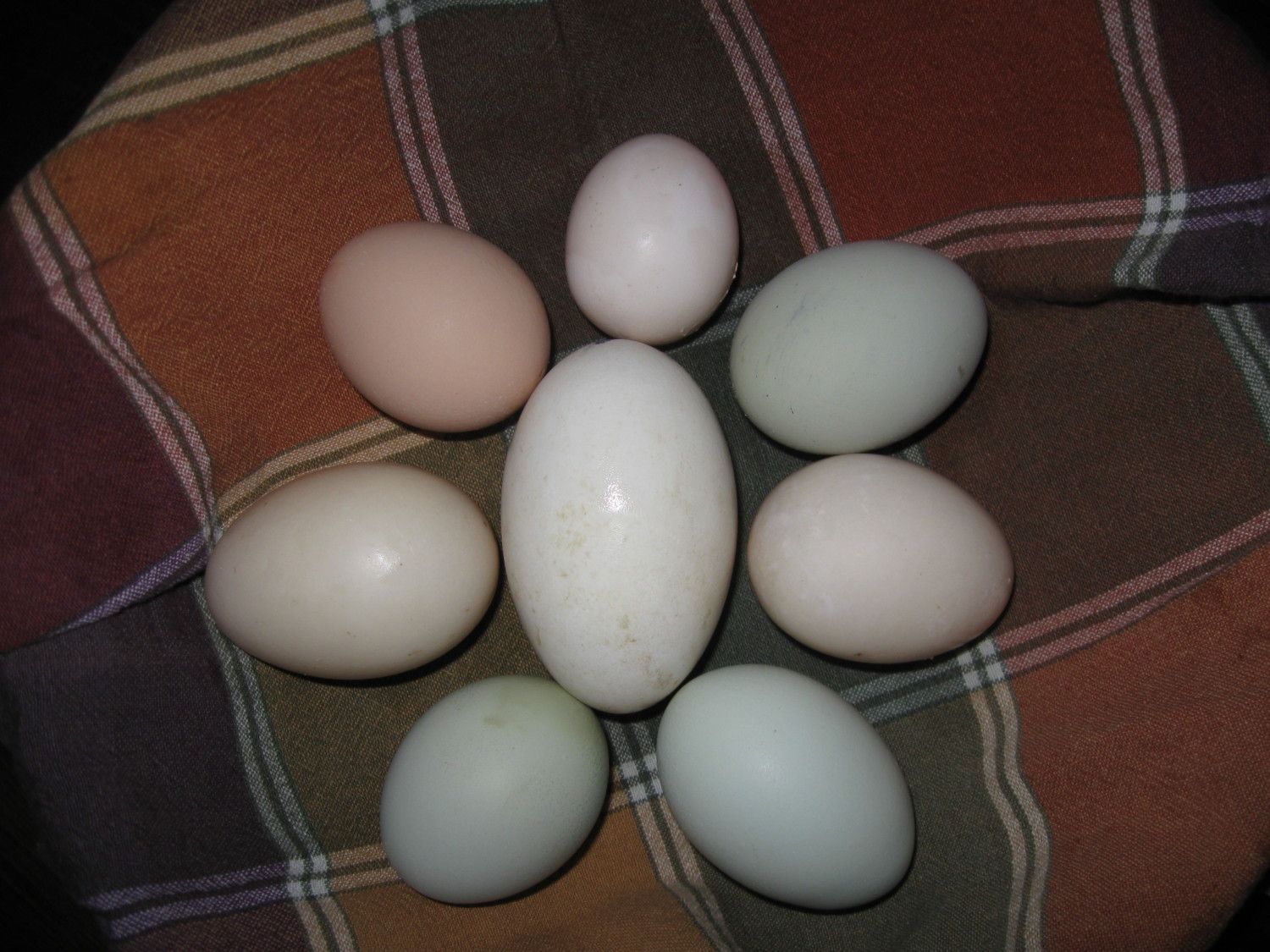 200x200px-ZC-ff8e563d_001.jpeg