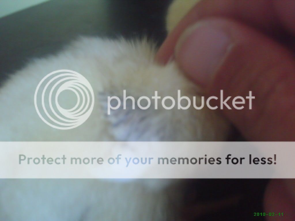 PHTO0599.jpg