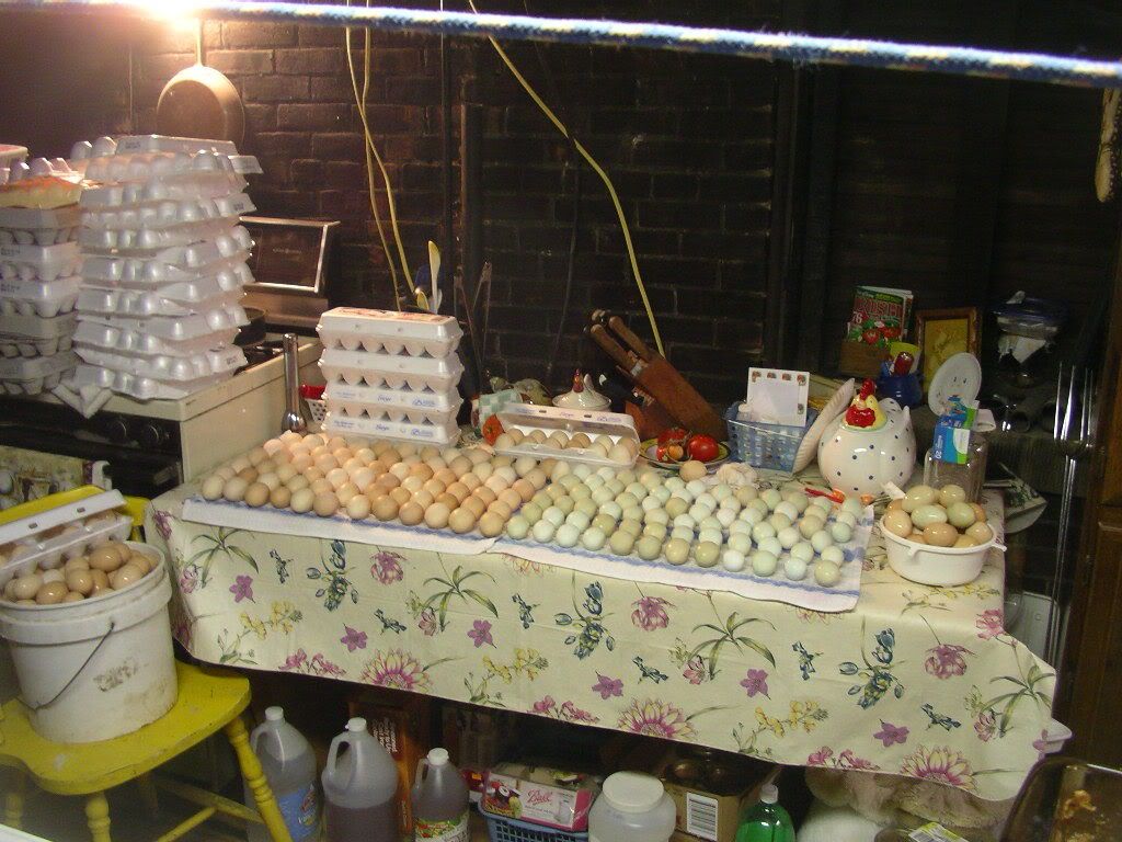 Picture055.jpg