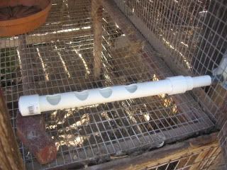 installedwateringsystem061709b.jpg