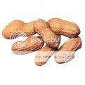 peanut.jpg