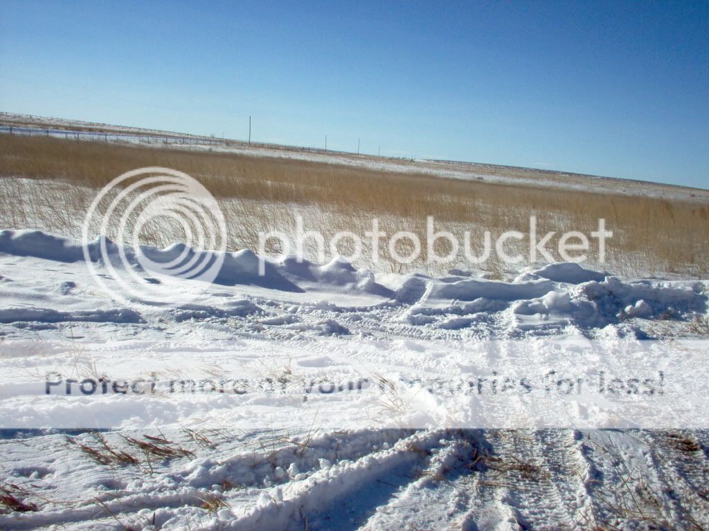snow007.jpg