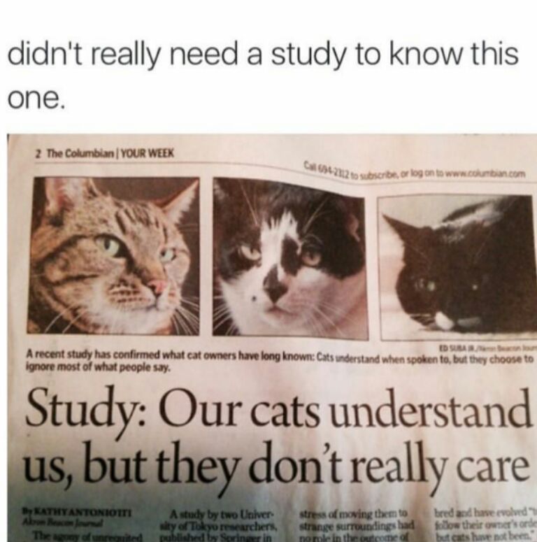 fhjLNF1.jpg
