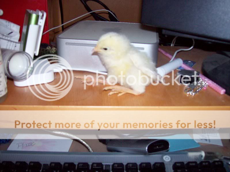 100_0187.jpg