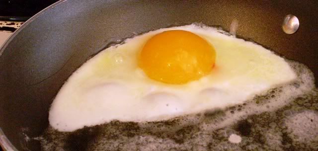 FertileSilkieEgg.jpg