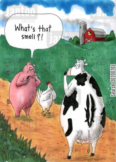 farming-pig-hen-chicken-farm-cow-30700765_low.jpg