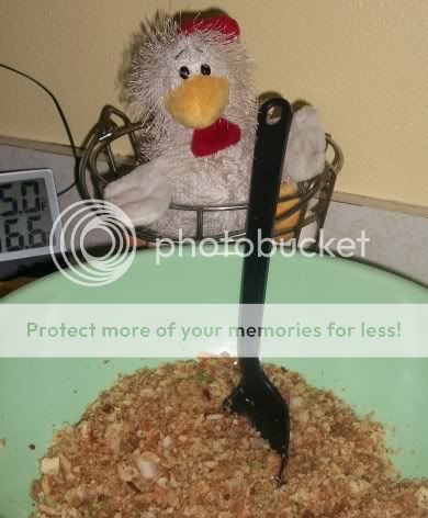 Stuffing.jpg