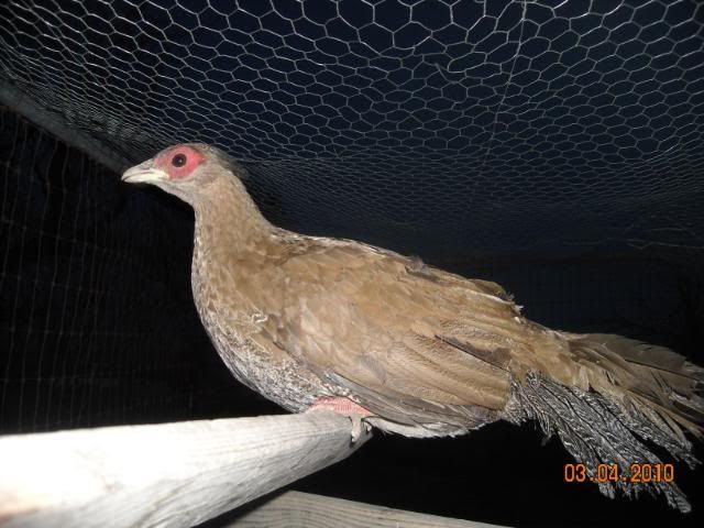 DSCN0307.jpg