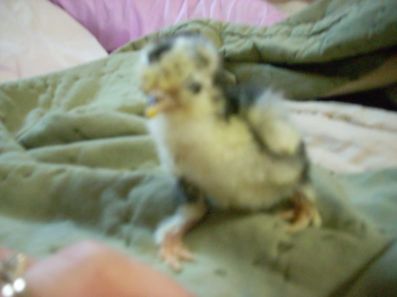 DSCN2024.jpg