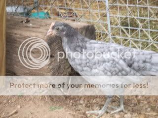 DSCF1651.jpg