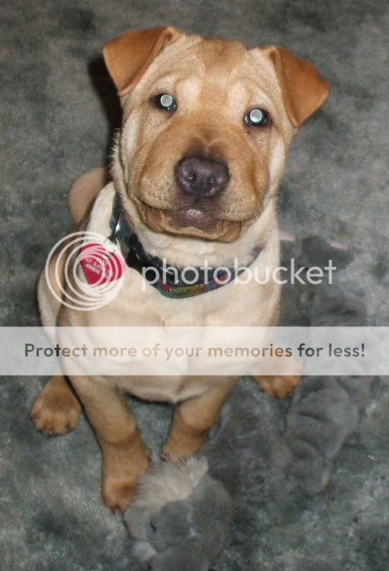 Lexi319082.jpg