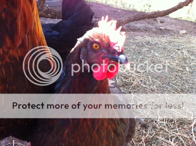 photo-18.jpg
