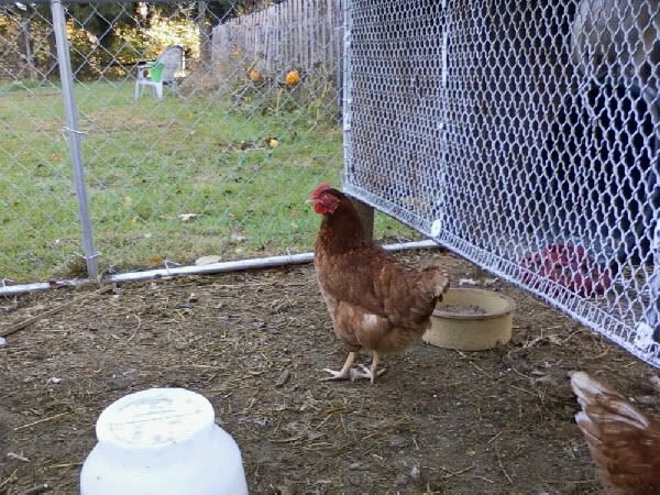 Photo020.jpg