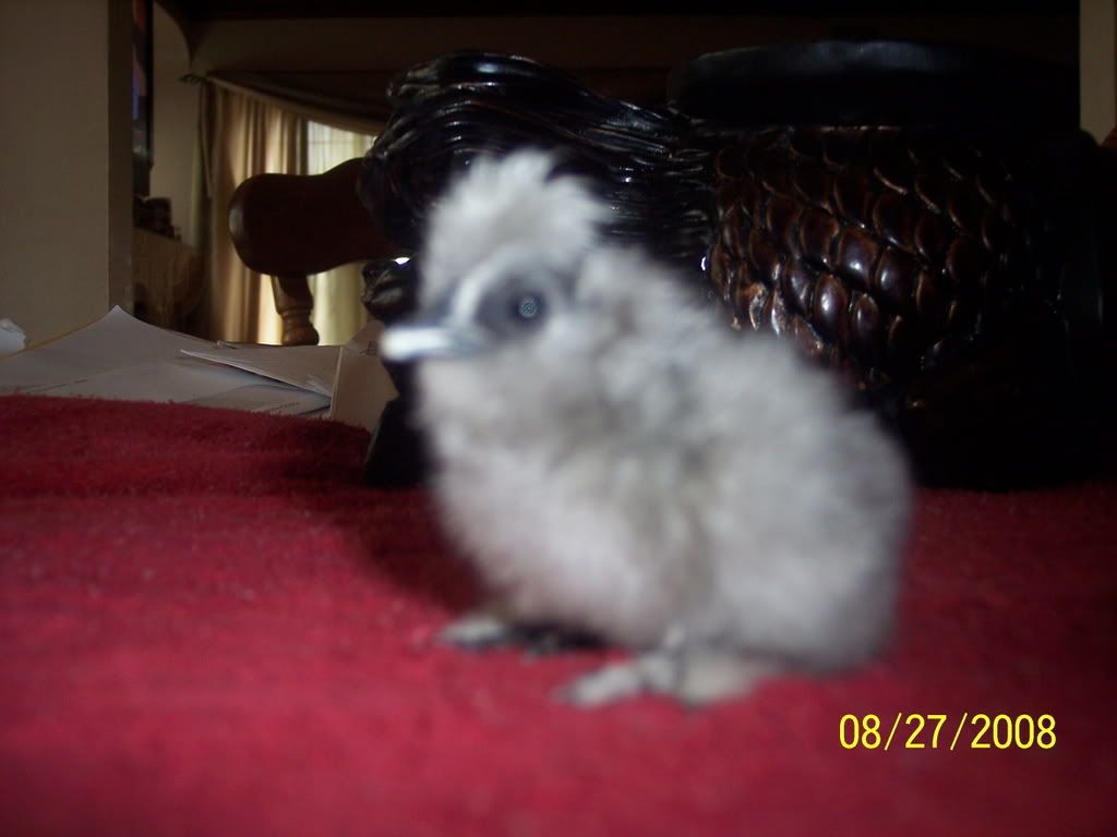 Picture103.jpg