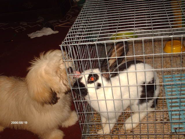 HPIM0099.jpg