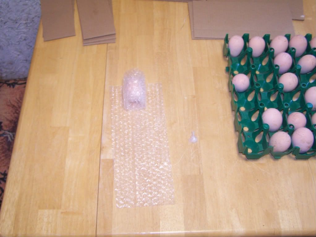 PackingEggs17MAR09005.jpg