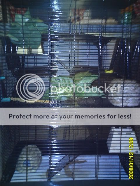 PICT0257.jpg