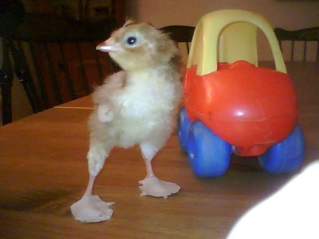 06090916551.jpg