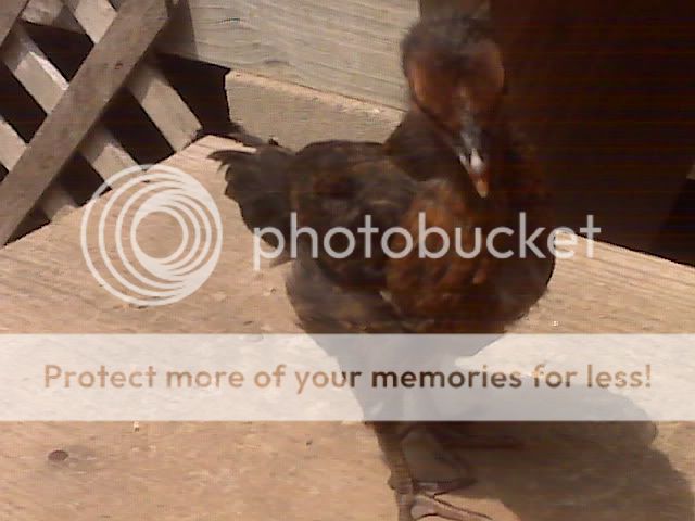 IMG01544.jpg