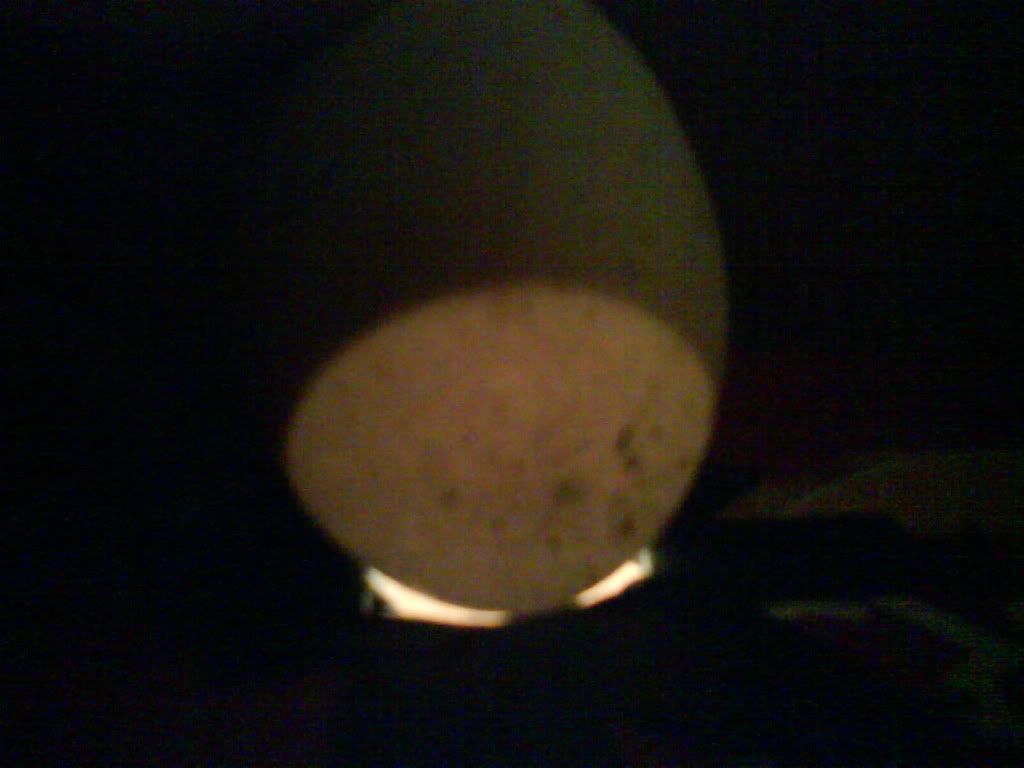 DSC01111.jpg