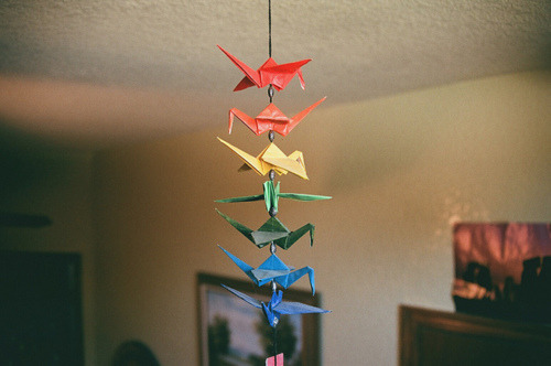 tumblr_m013xk7lHh1qk9ncio1_500.jpg