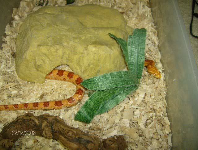 Amel1-21-08007.jpg