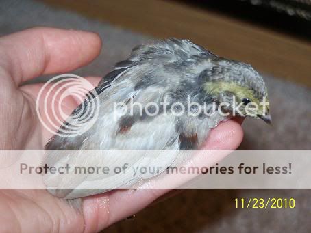 100_6170.jpg