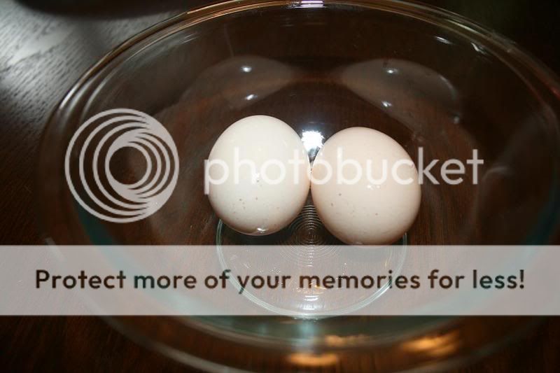 egg4.jpg