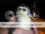 DSCN3128.jpg