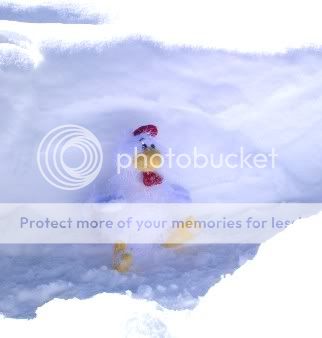 Snow4.jpg
