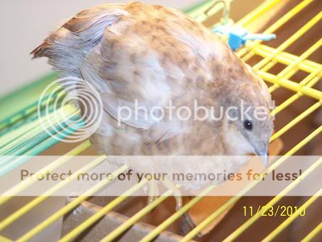 100_6181.jpg